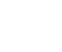 C1 AUTOMOTIVE